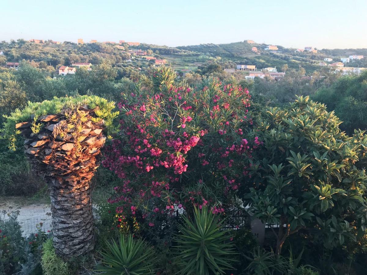 Floros Apartments Agios Stefanos Avliotes  Luaran gambar